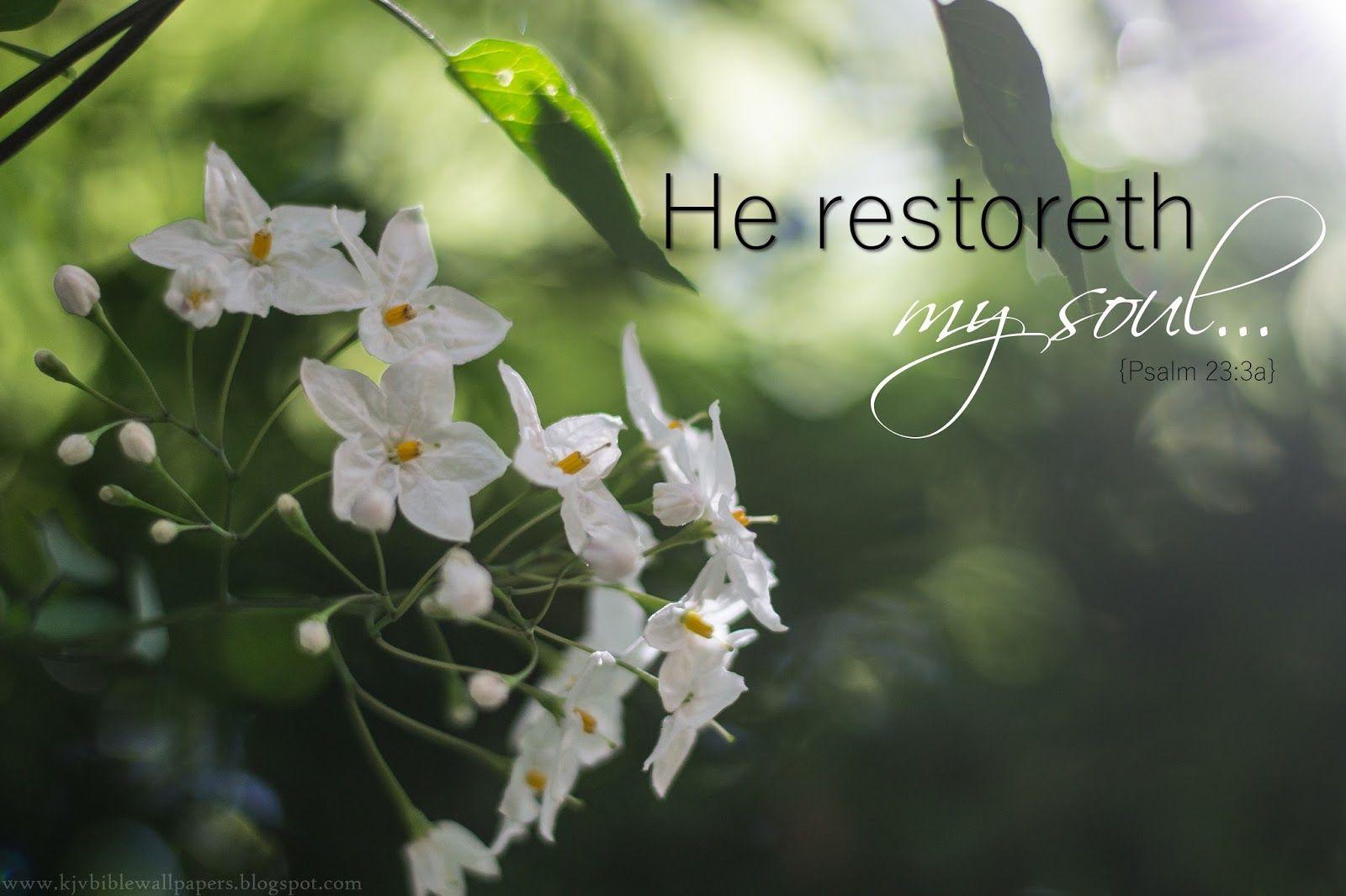 KJV Bible Wallpaper: He Restoreth My Soul. Psalm 23:3