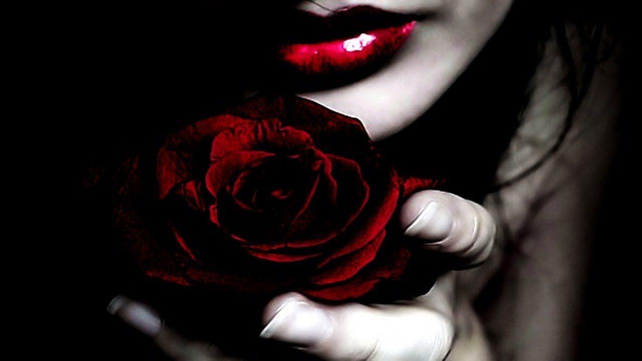 Red Lips Rose Background Wallpaper 28453