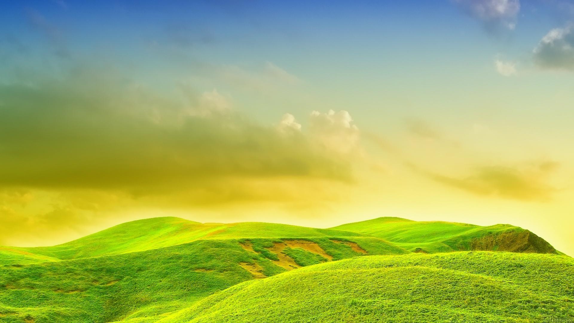 Man behind famous Windows XP wallpaper wishes he'd negotiated a better  licensing deal