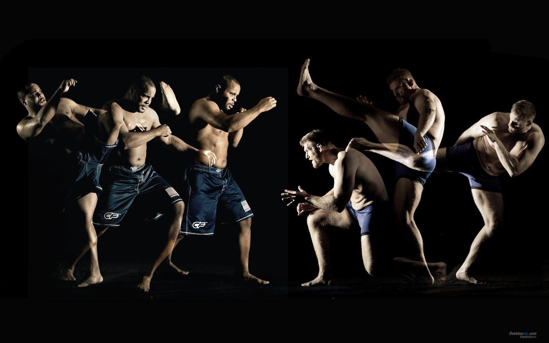 Mixed Martial Arts Wallpaper