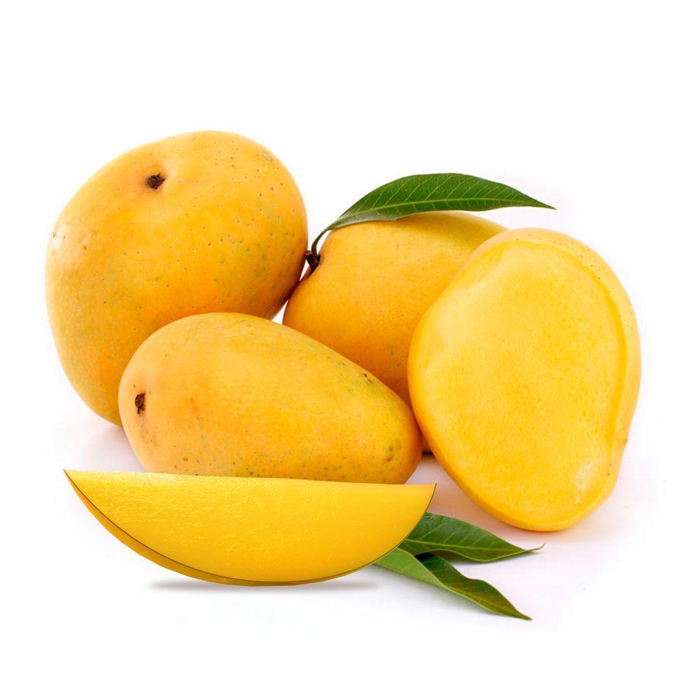 Compile for best places to buy mangoes in USA