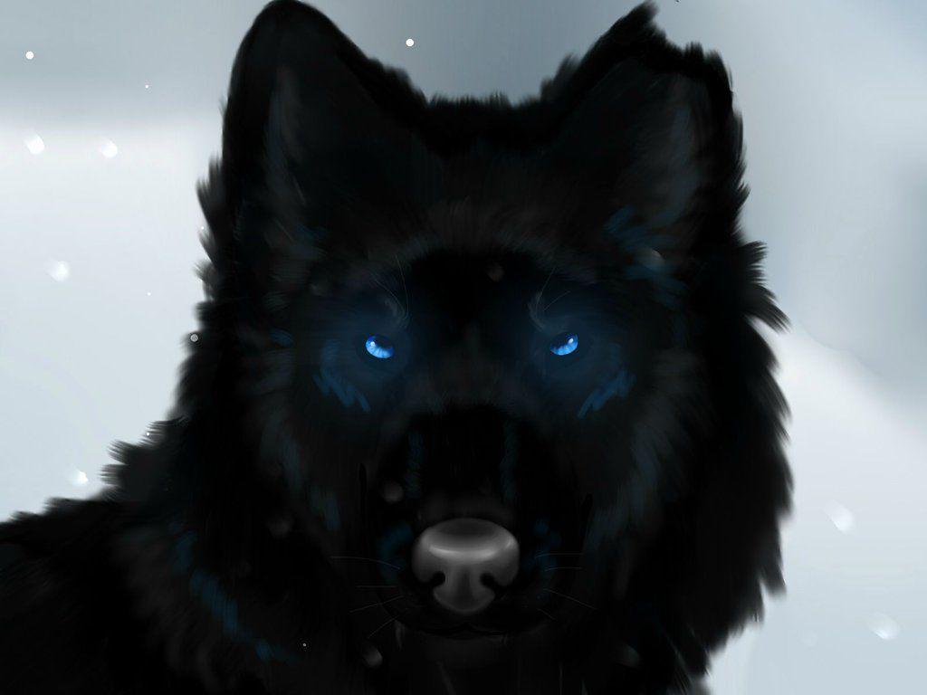 That black wolf by phoenix19xp- Animal Jam