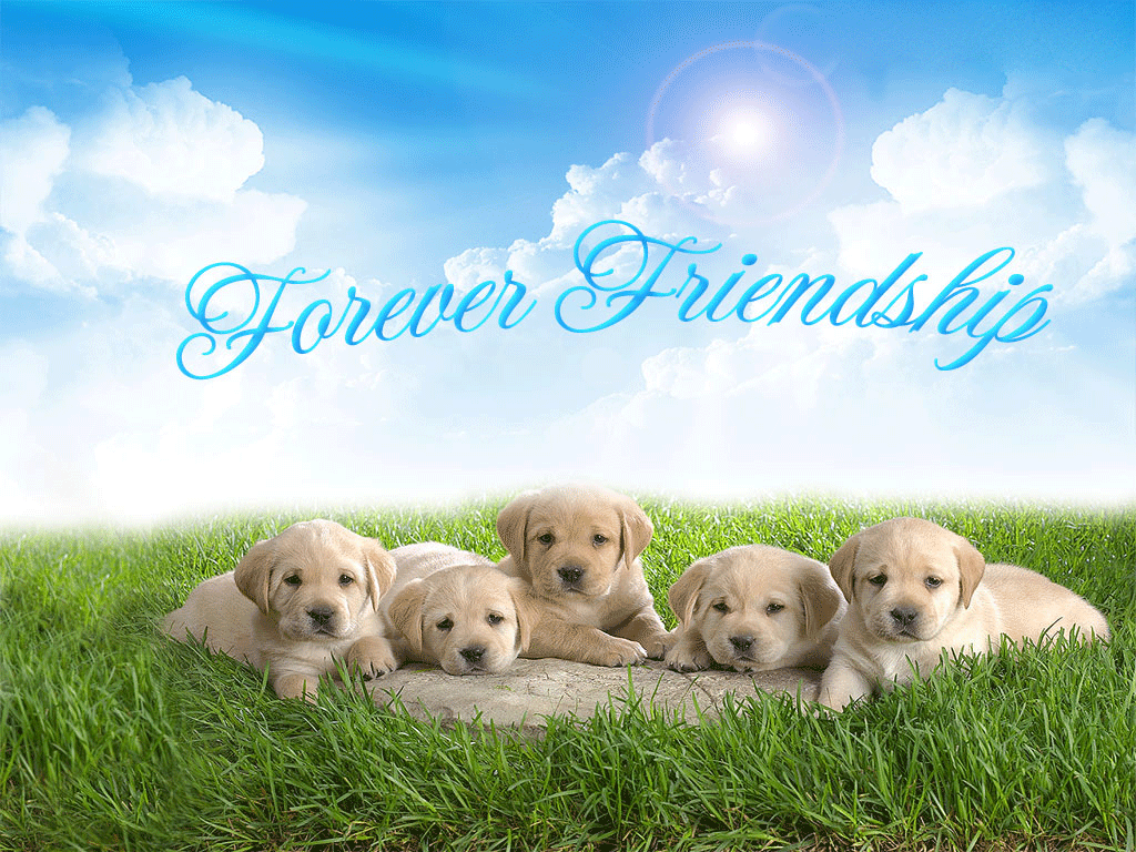 picture of frindship. Friendship Messages With Picture Wallpaper