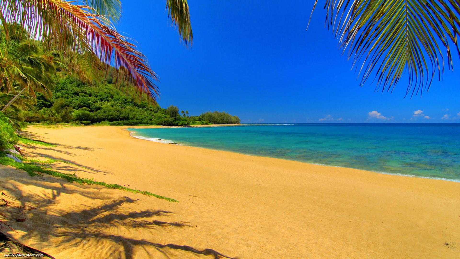 Beach Summer Background Desktop Free Download
