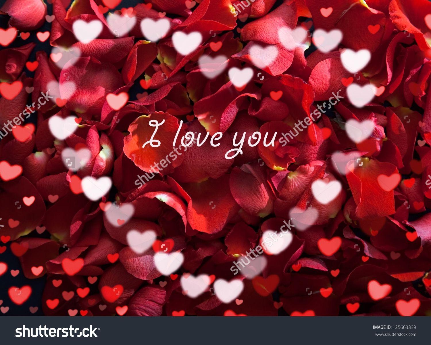 New picture of i love you roses picture of i love you roses