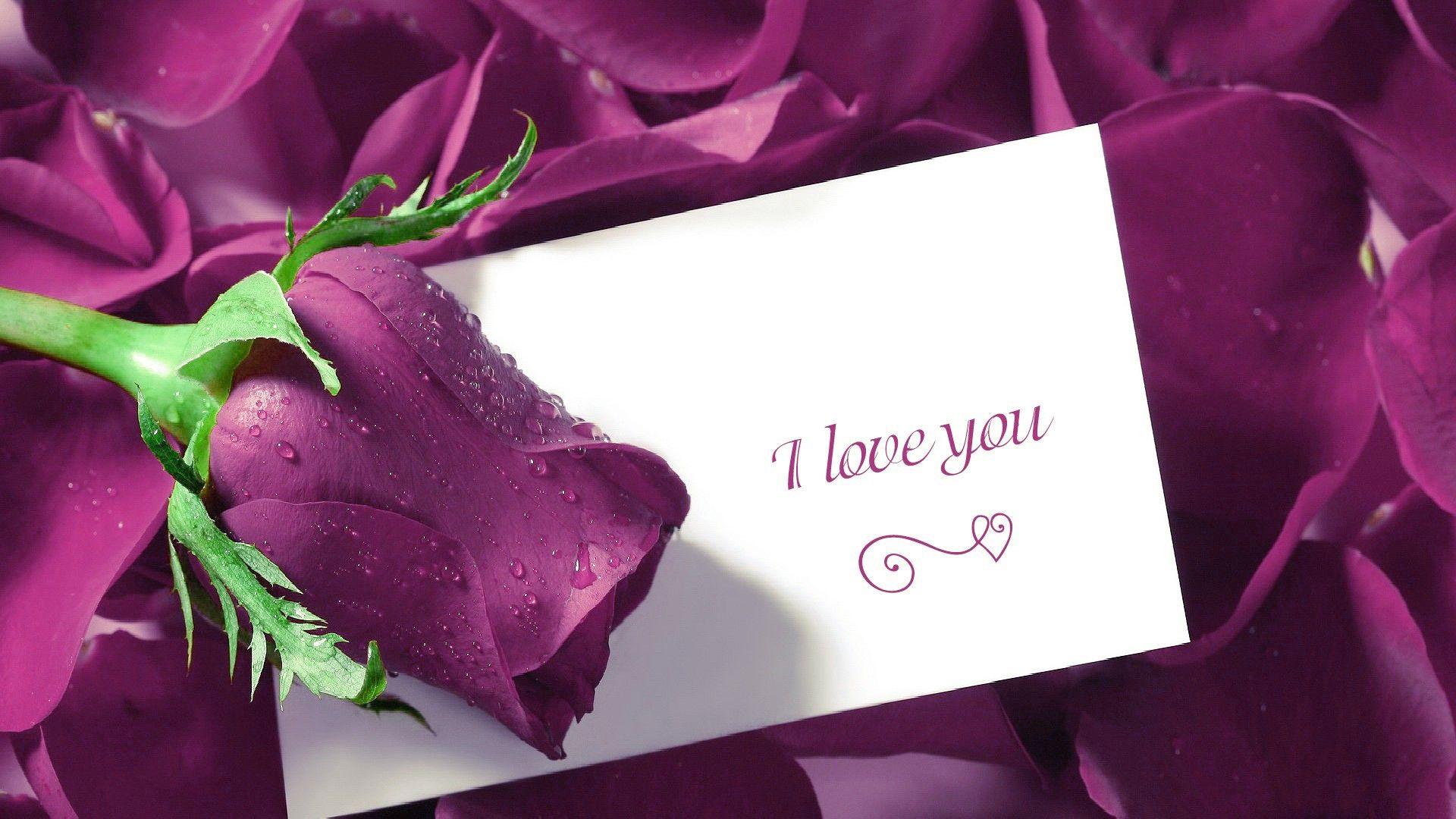 Saying i love you with rose flower image. WallpaperHD.in