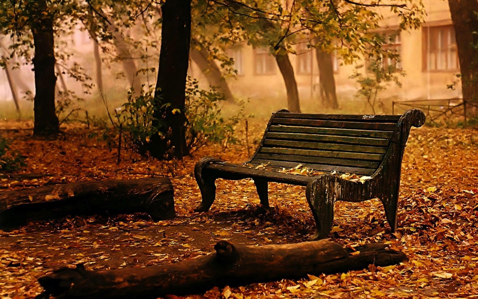 Landscapes bench chair seat autumn fall leaves trees mood wallpaperx1200