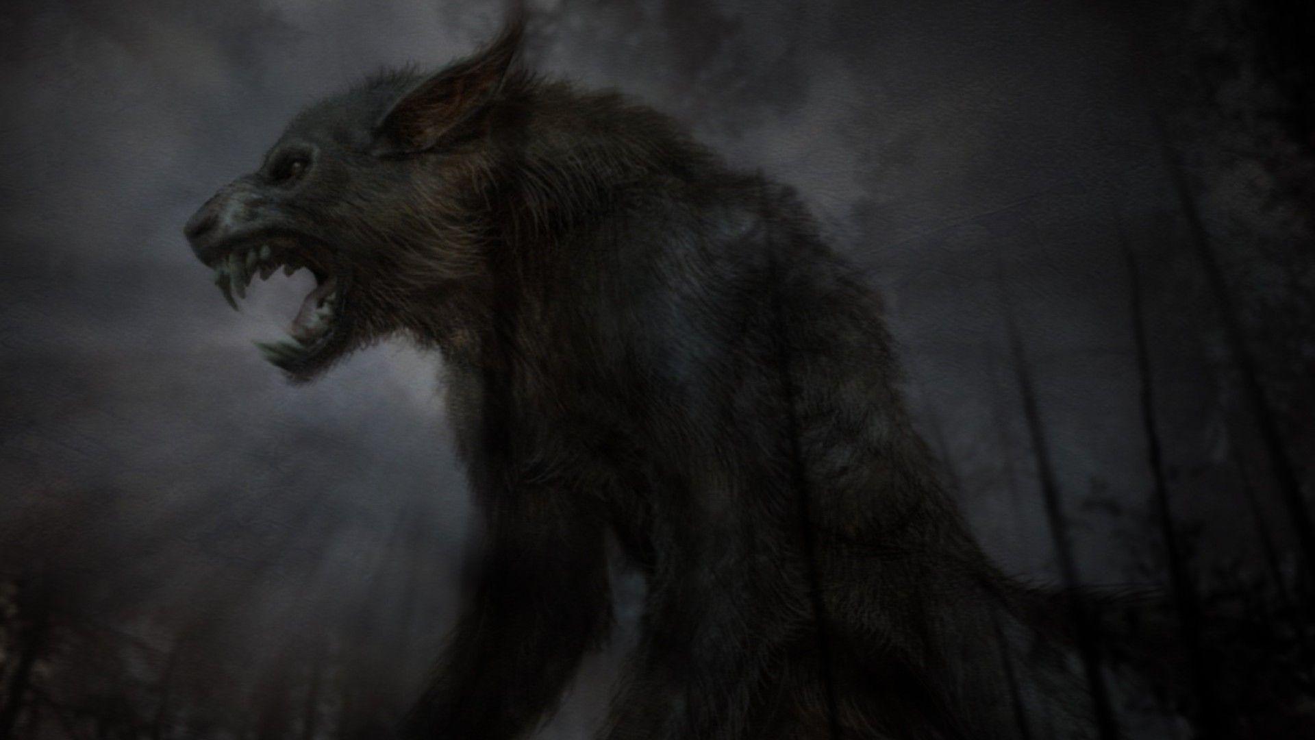 Werewolf HD Wallpaper 1080p