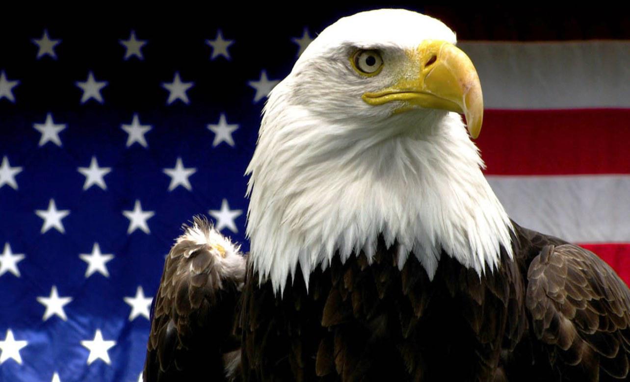 American Eagle Wallpaper