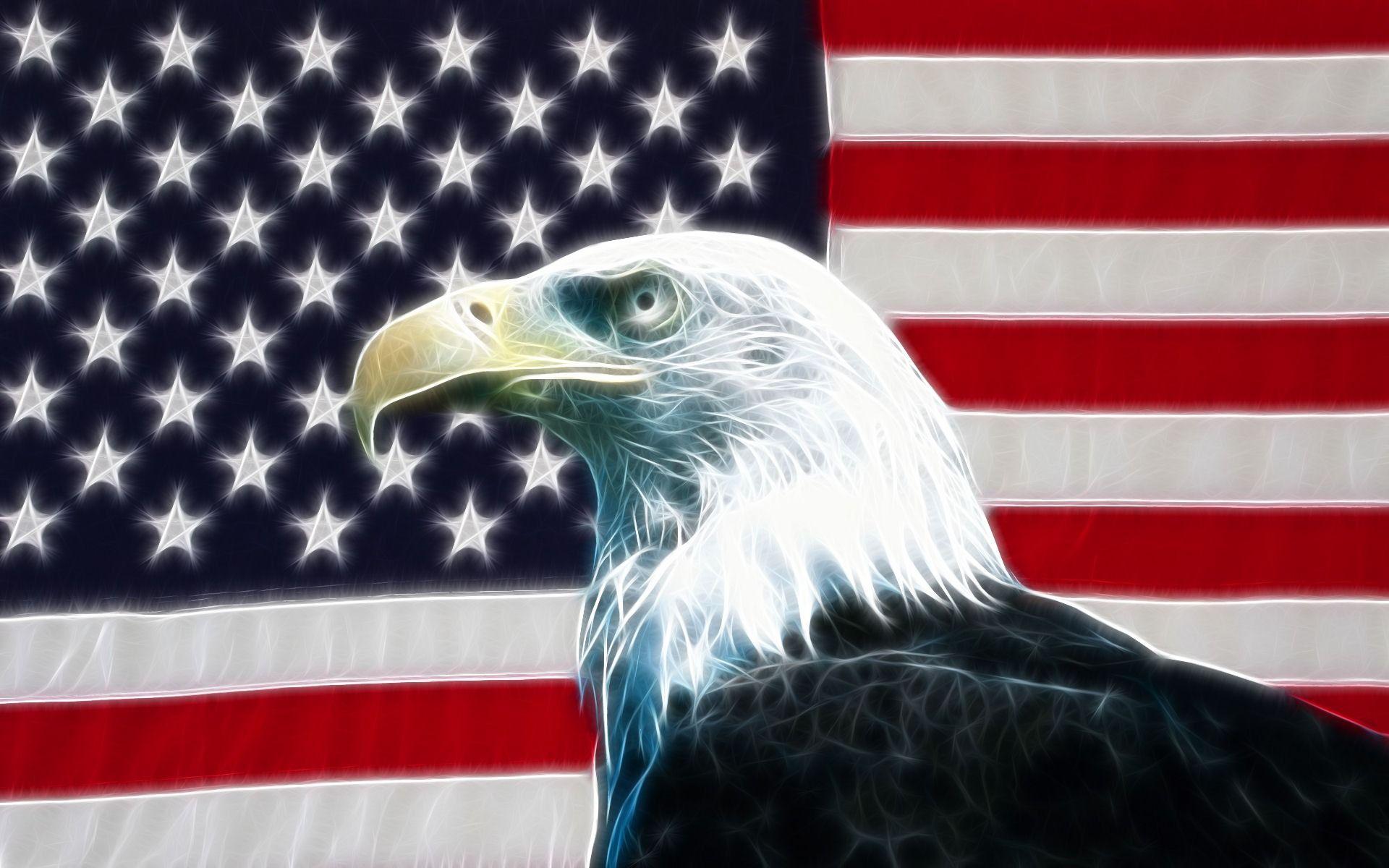 Bald Eagle Wallpaper 012