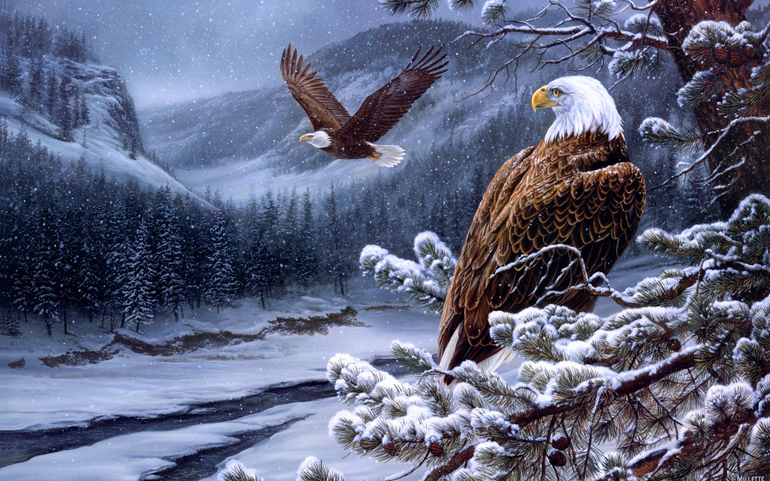 American Eagle Wallpaper Is 4K Wallpaper