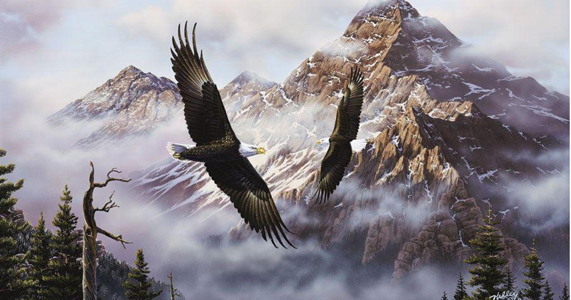 Flying American Eagle Wallpaper