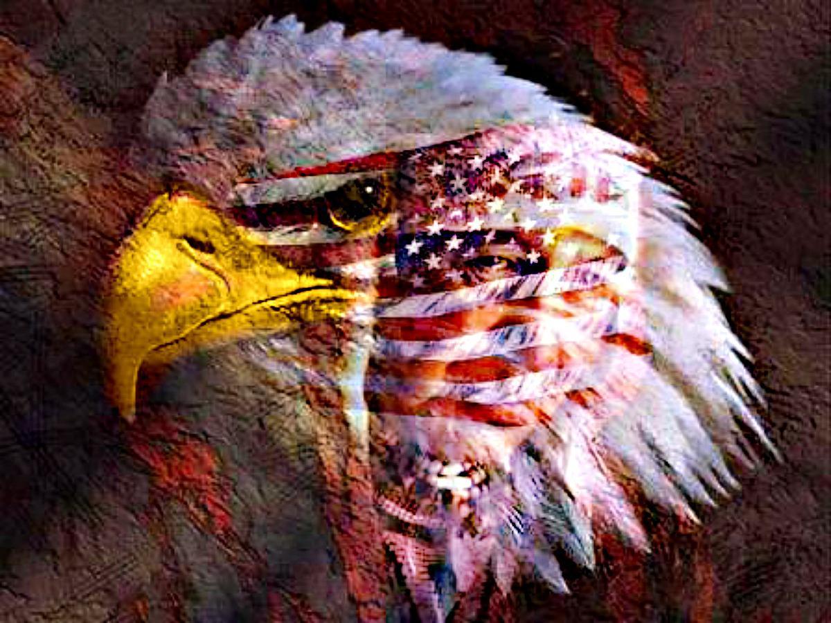 American Eagle Desktop Wallpaper