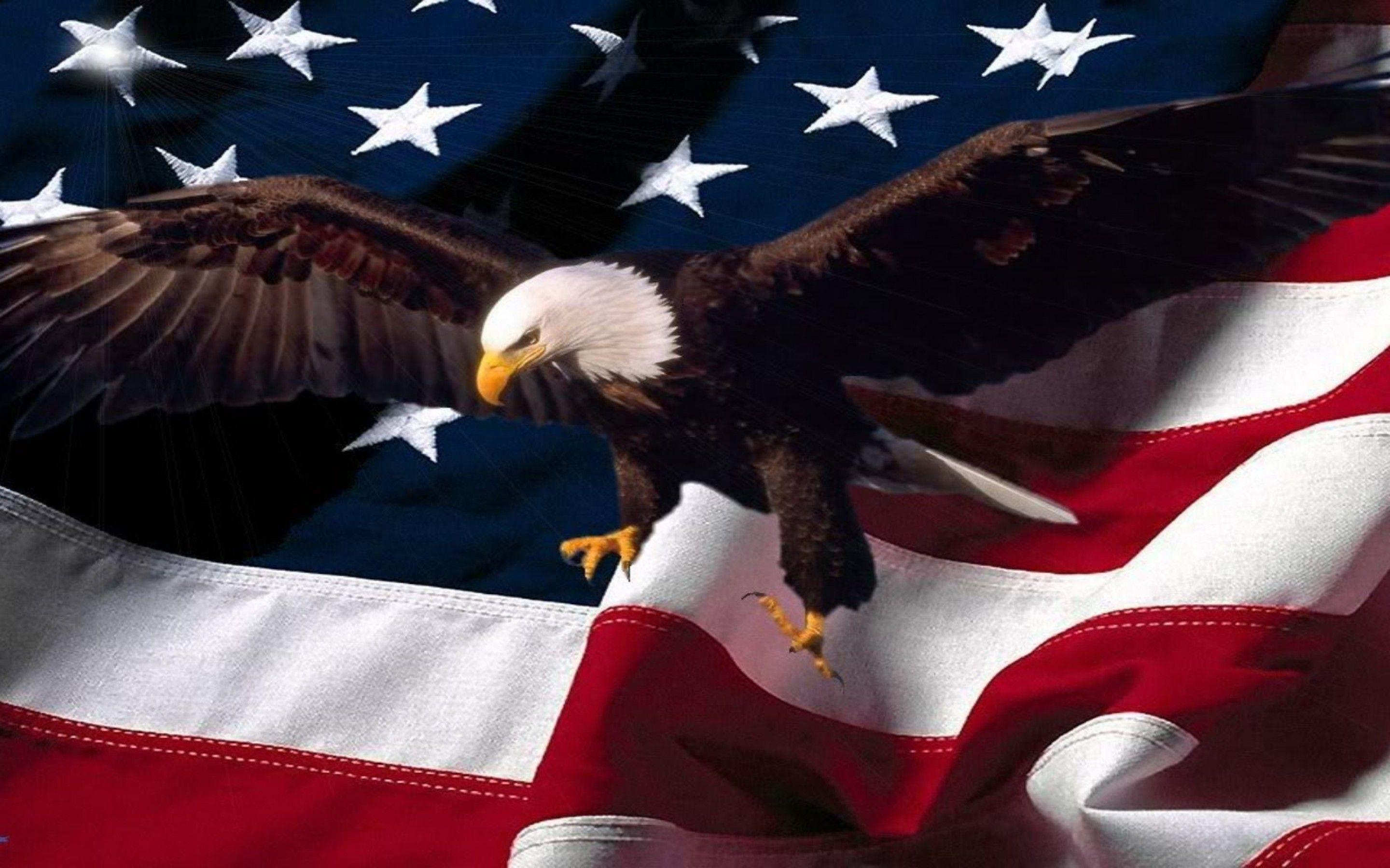 American eagle wallpaper