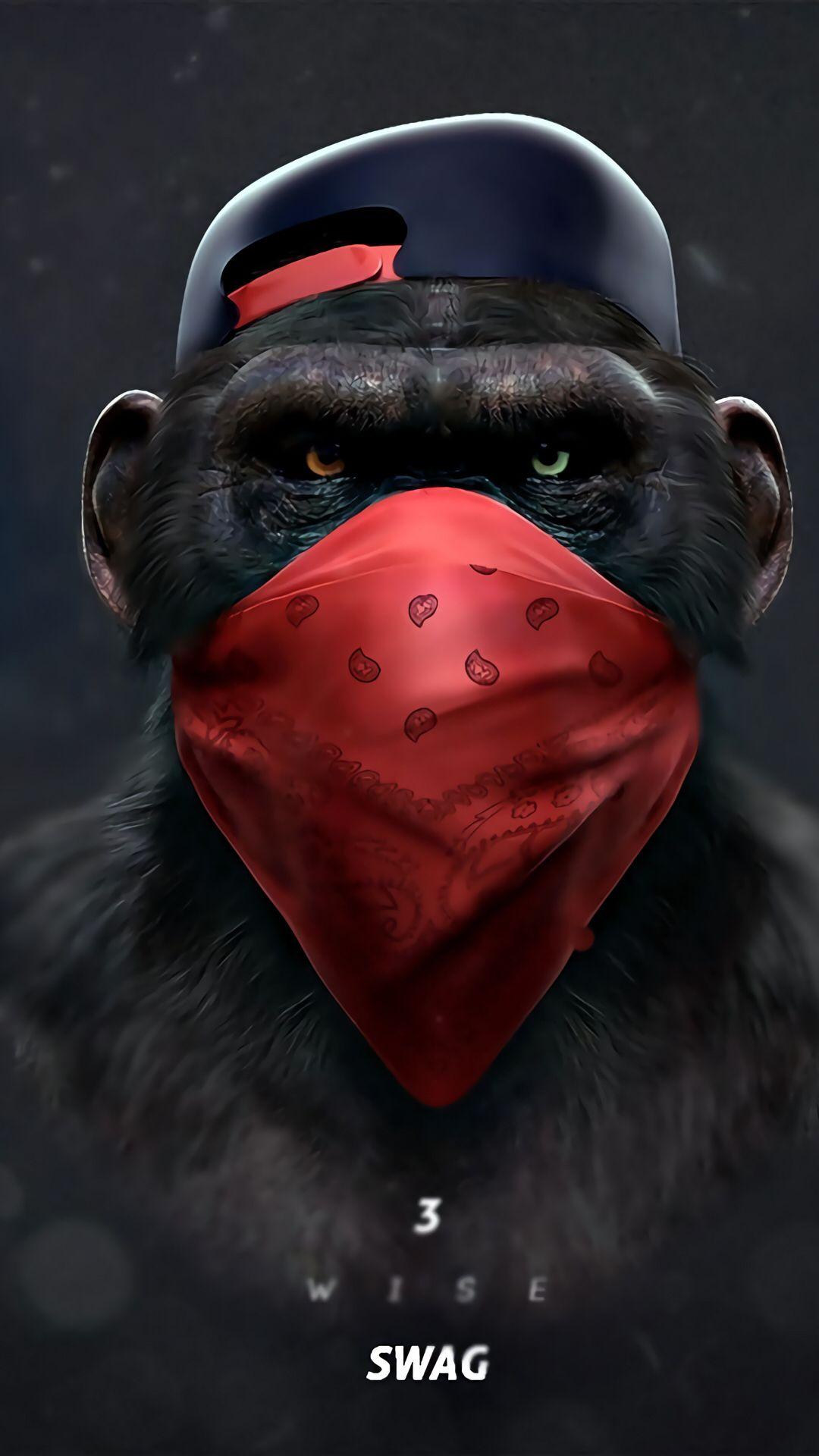 monkey swag. Wallpaper. Swag, Monkey and Wallpaper