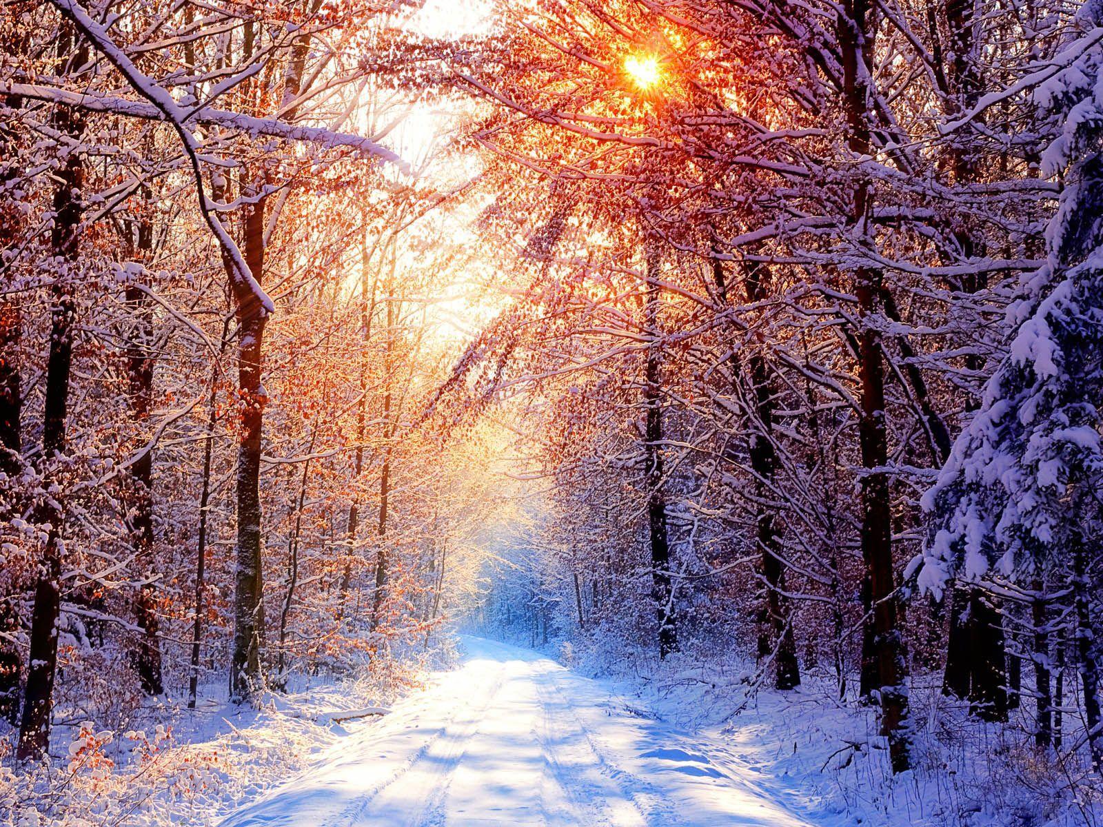 Snow Scene Wallpapers Free - Wallpaper Cave