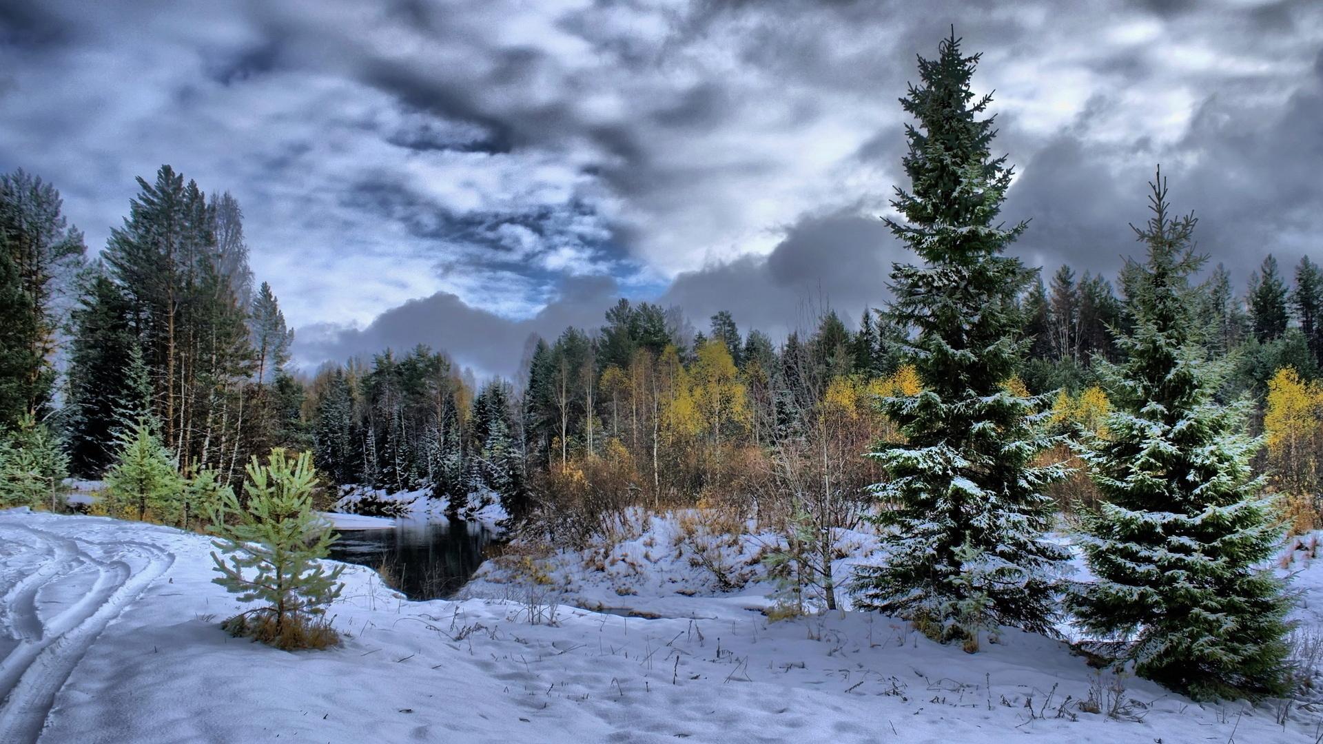winter scene photo. Download Superb Winter Scene wallpaper 300478