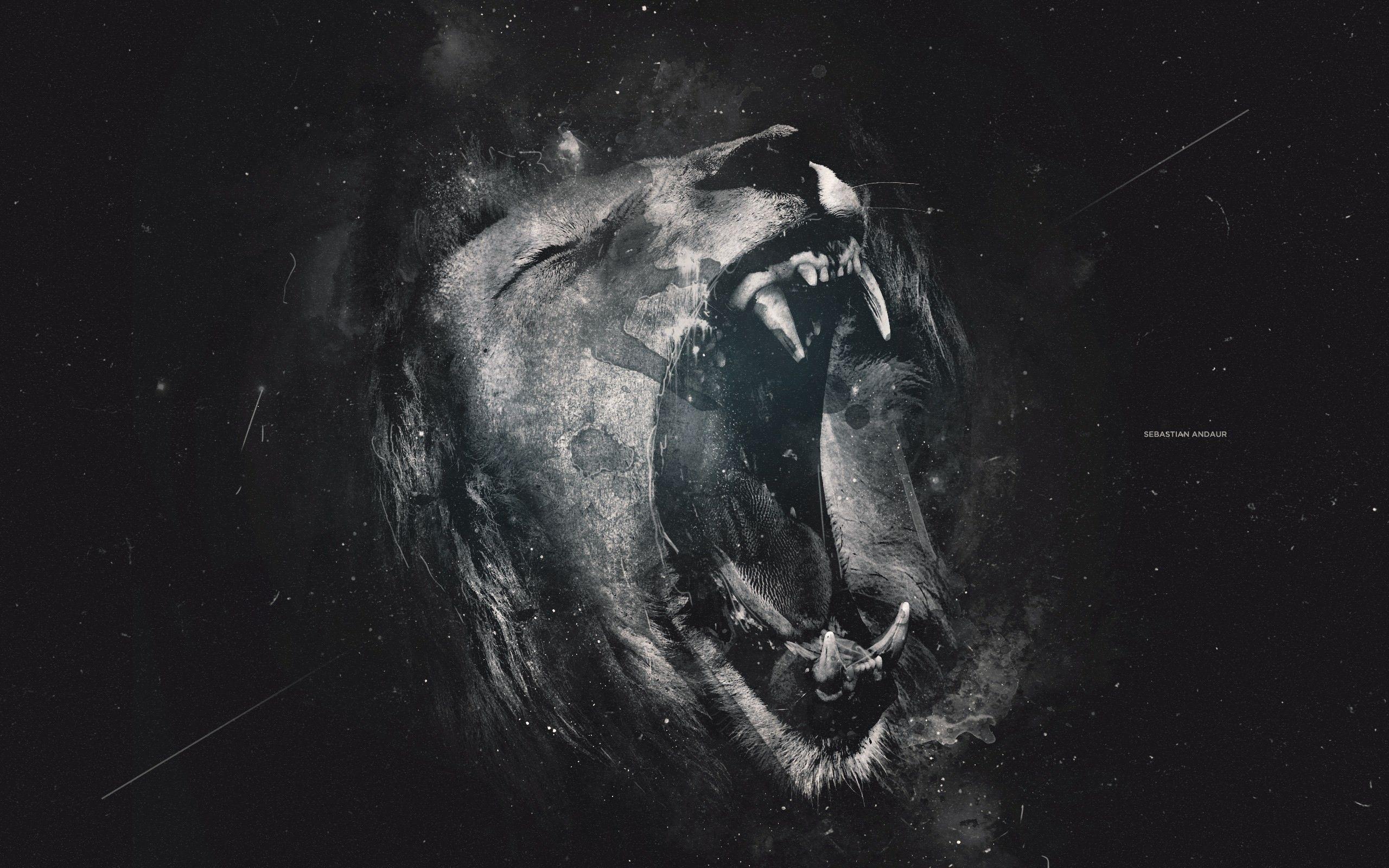 Black Lion Wallpapers Wallpaper Cave