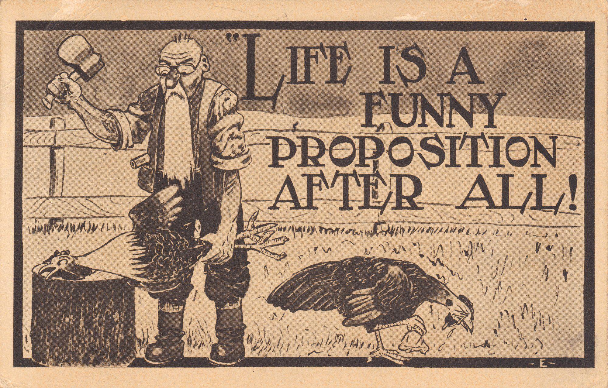 POSTCARD paper poster advertising vintage retro antique comedy humor