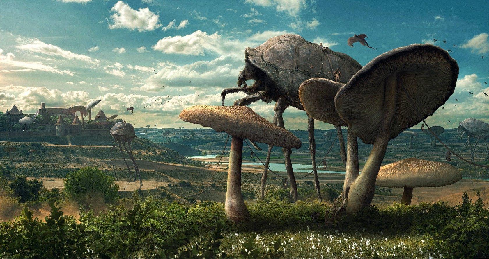 Wallpaper, 1680x892 px, coexist, insect, nature, Parasite, science