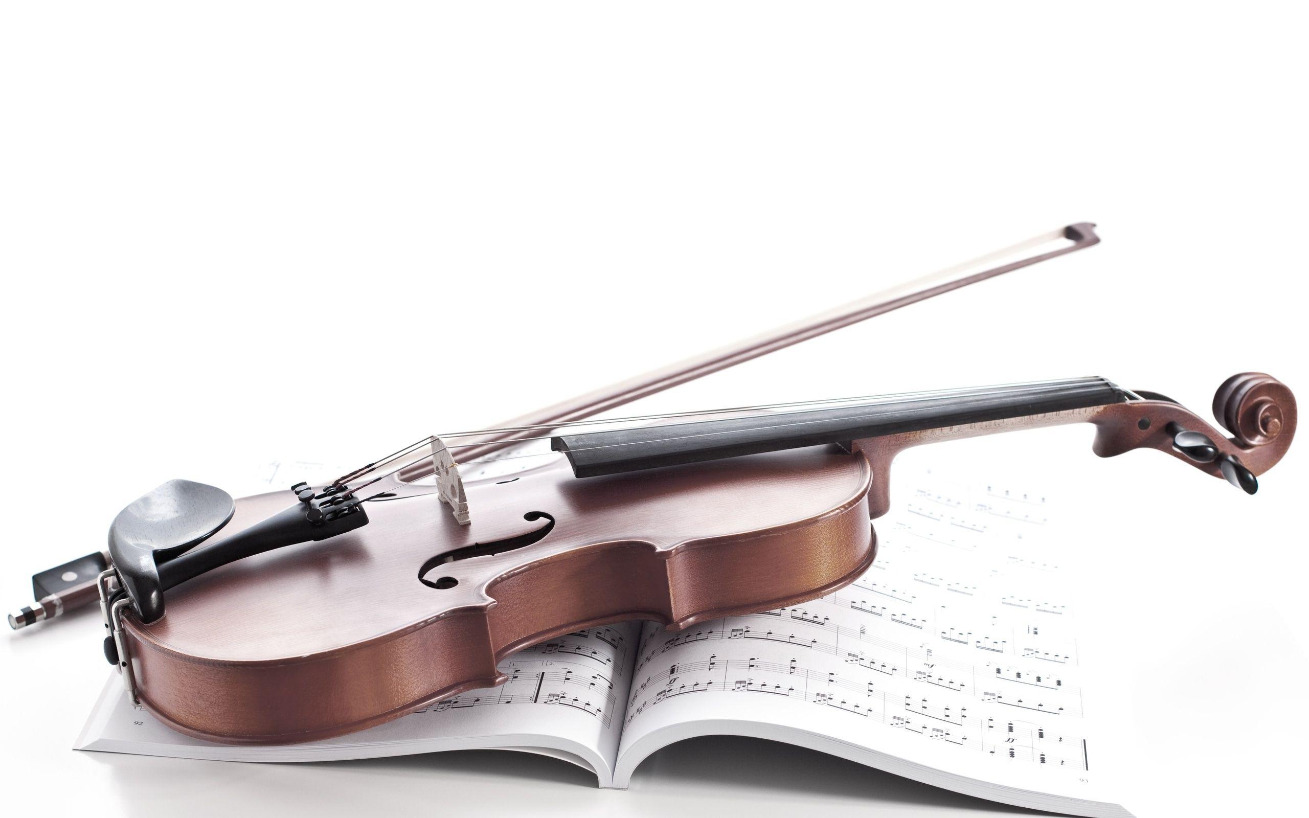 Violin Full HD Wallpaper and Background Imagex1600