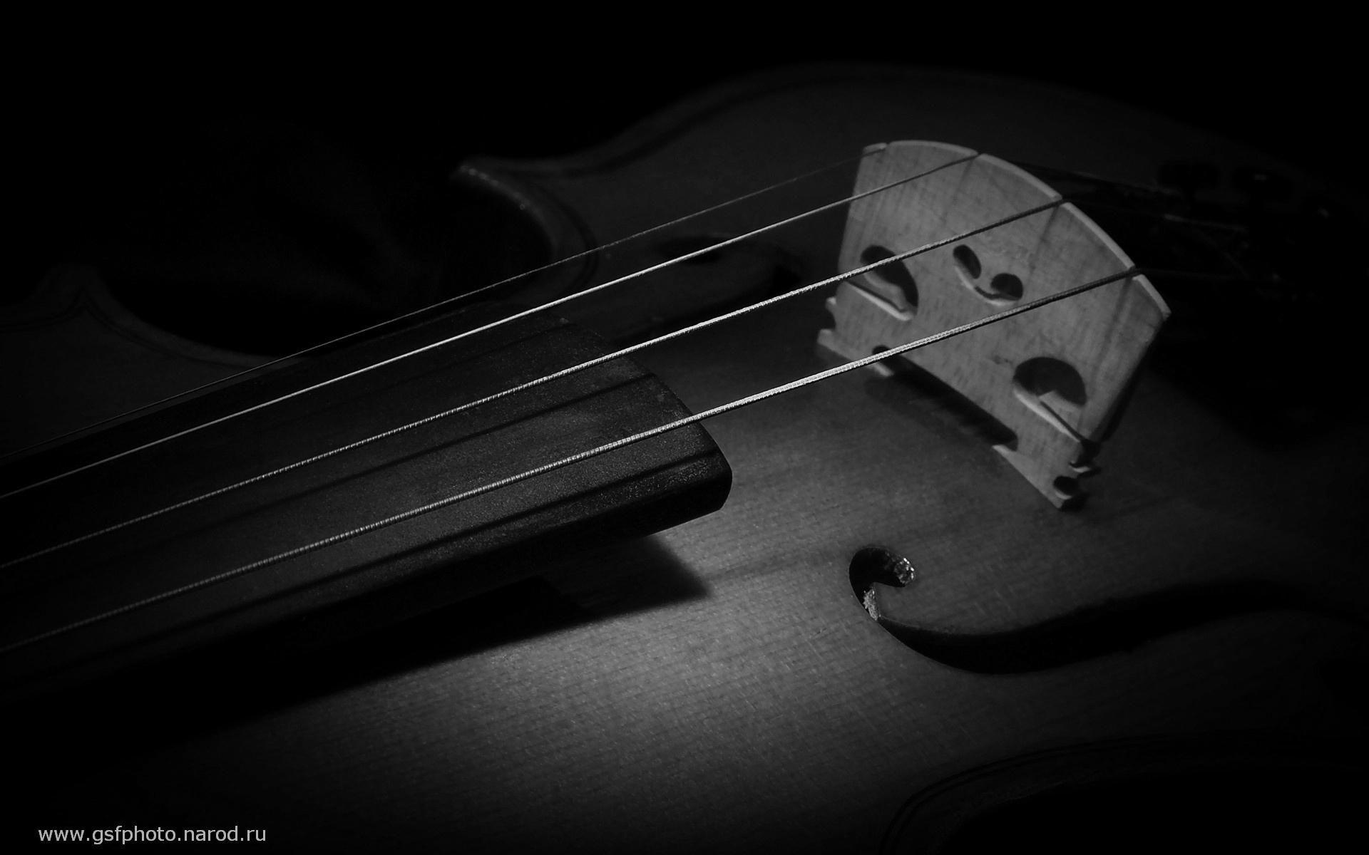 Black And White Violin Wallpaper