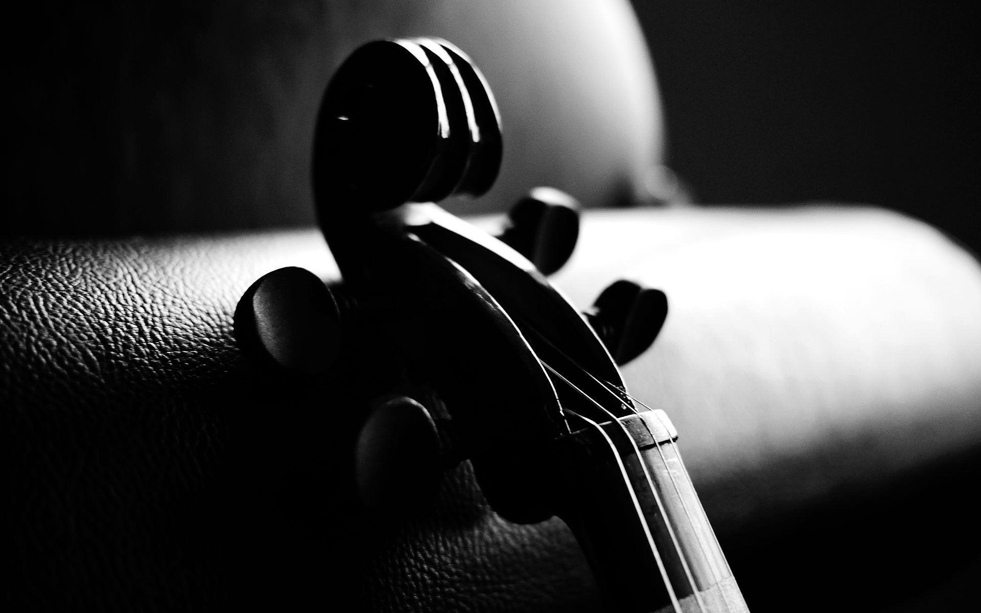 Violin Image Gallery Wallpaper Image For Mobile Phones High Quality