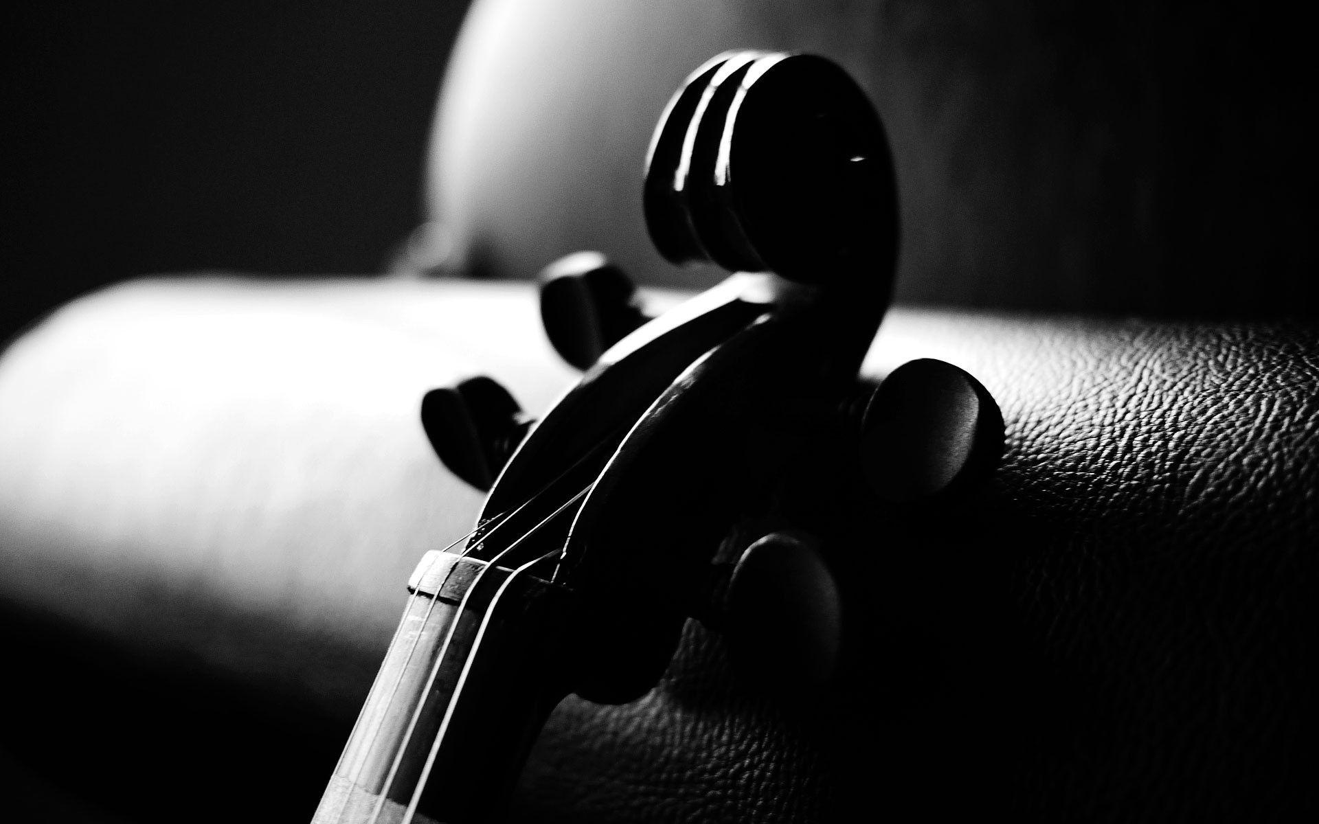 Violin Full HD Wallpaper and Background Imagex1200