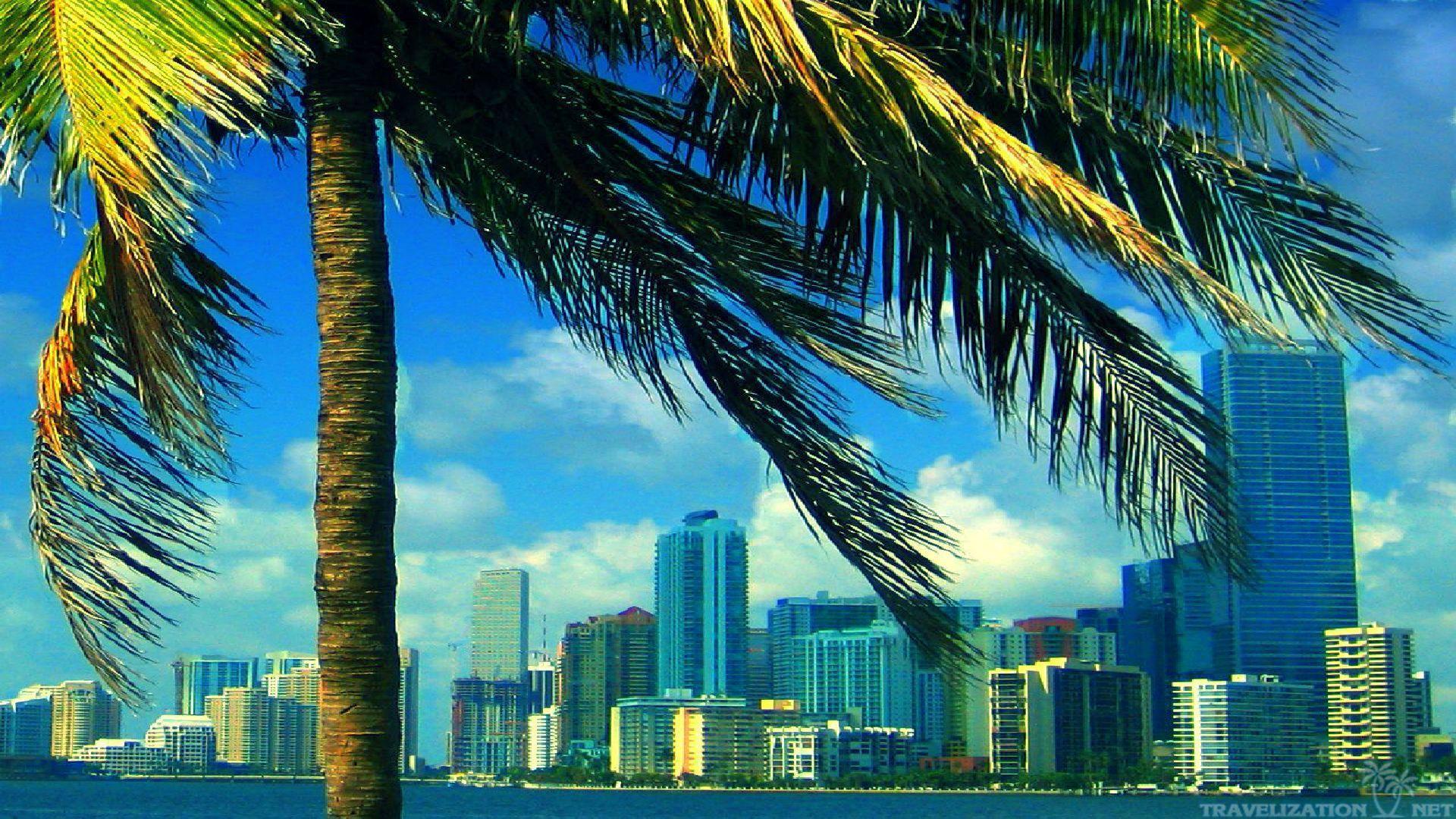 Miami Skyline HD Wallpapers - Wallpaper Cave