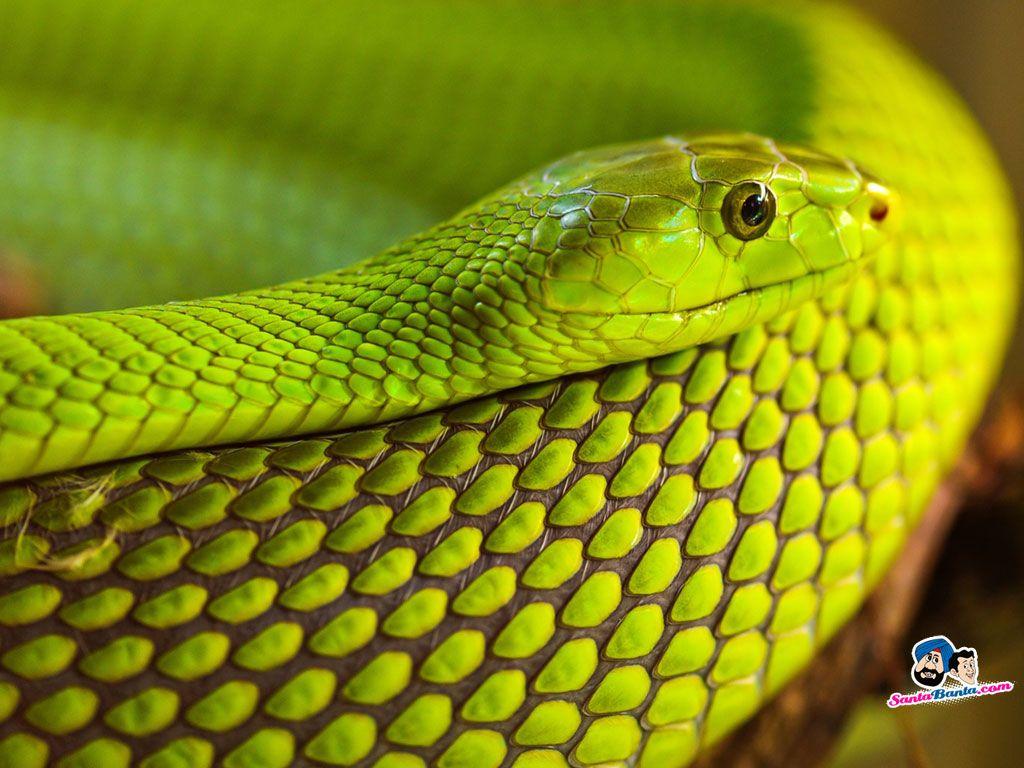 Full HD Wide Nature Wallpaper & Image I Beautiful Nature Photo