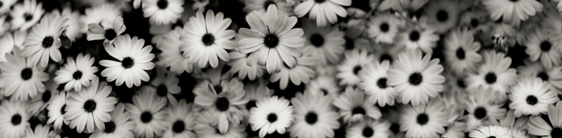 Black And White Background Tumblr Flowers