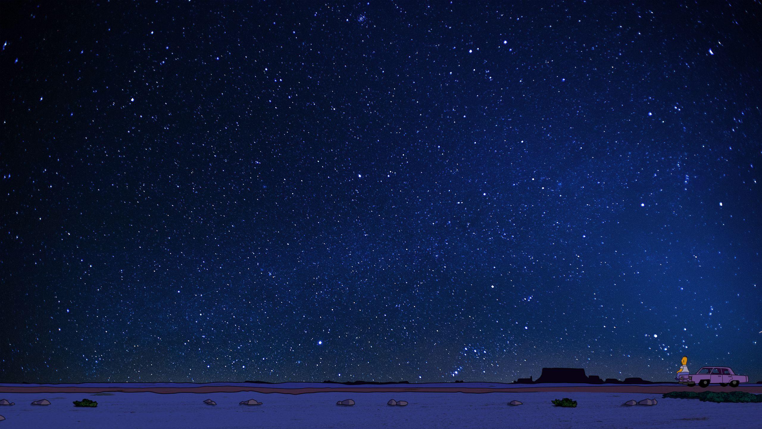 Homer Simpson Under Night Sky Wallpaperx1440