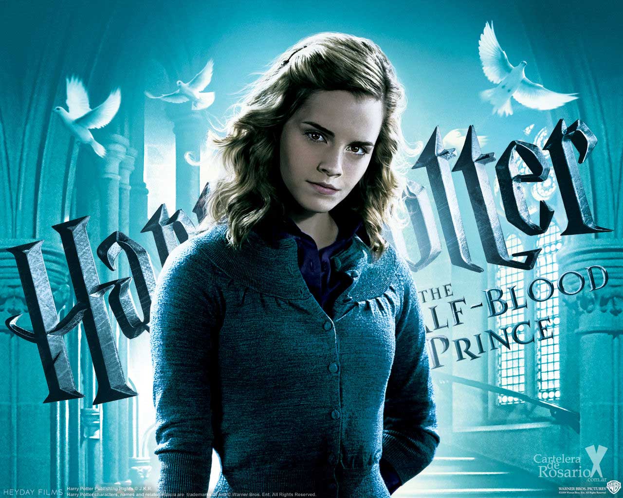 Harry Potter Hermione Granger Free HD Desktop Wallpaper