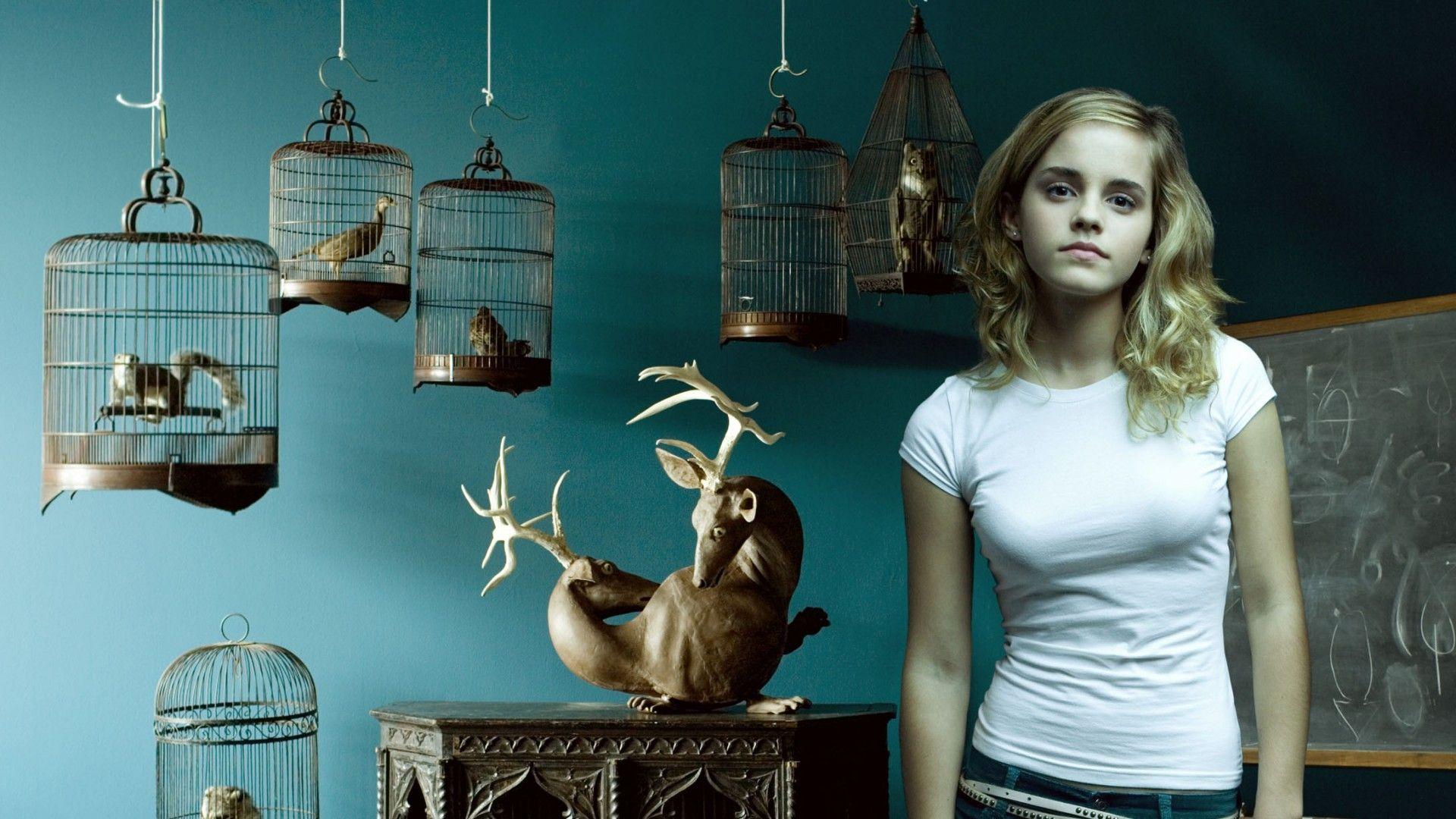 ScreenHeaven: Emma Watson Harry Potter Hermione Granger desktop