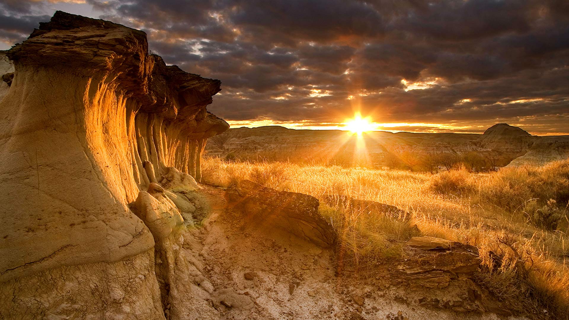 bing wallpaper changer for mac