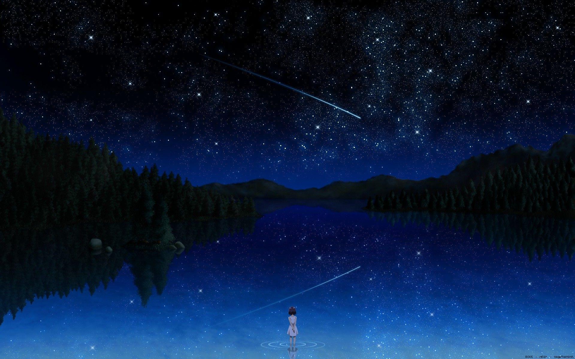nature, Sky, Trees, Shooting Stars Wallpaper HD / Desktop