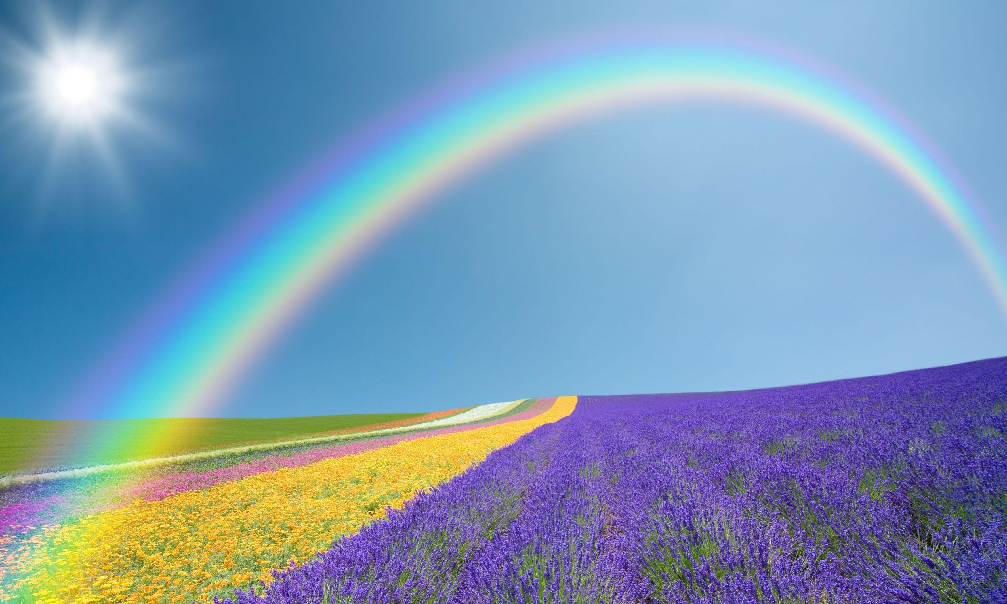 Rainbow Wallpaper, Picture, Image