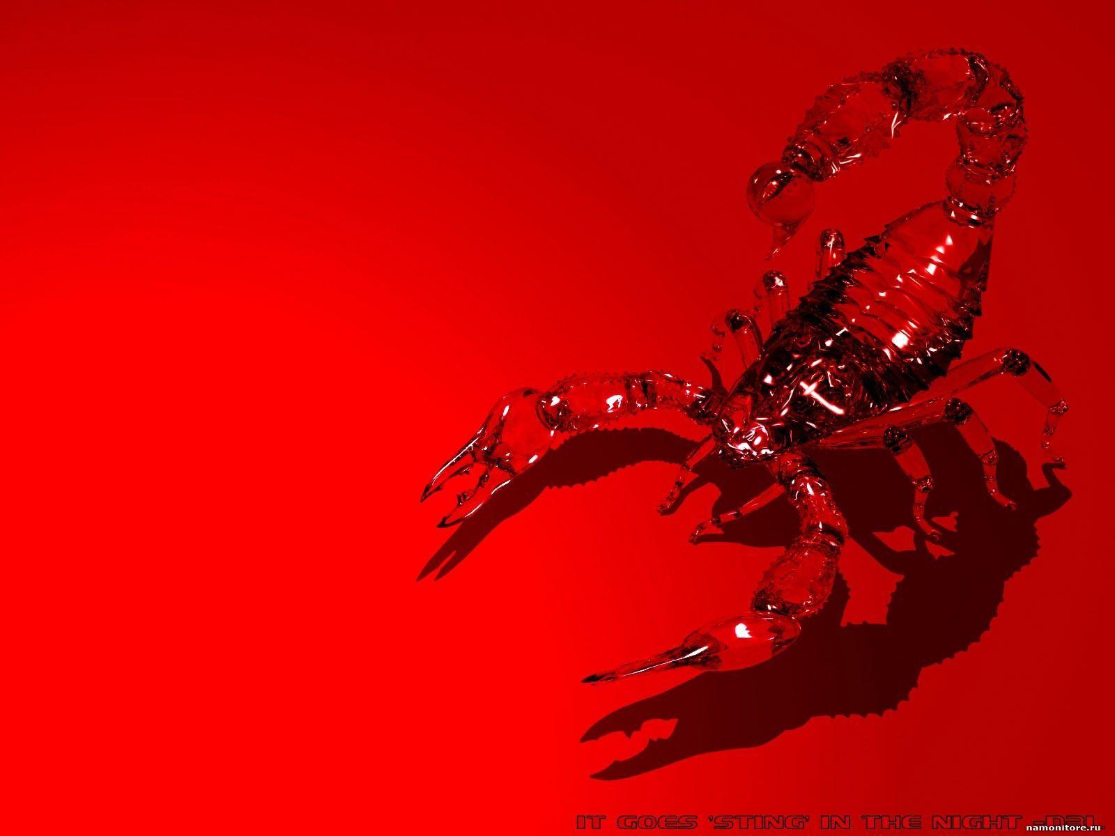 Scorpio Background 4K Download