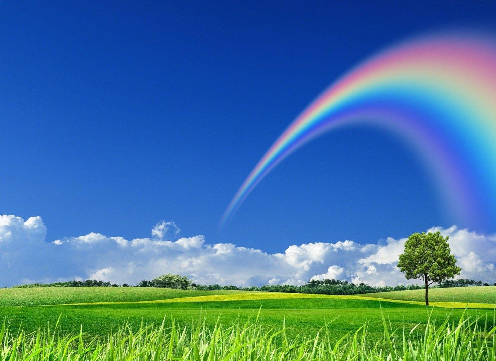 Rainbows: Beautiful Rainbow Nature Wallpaper Widescreen for HD 16:9