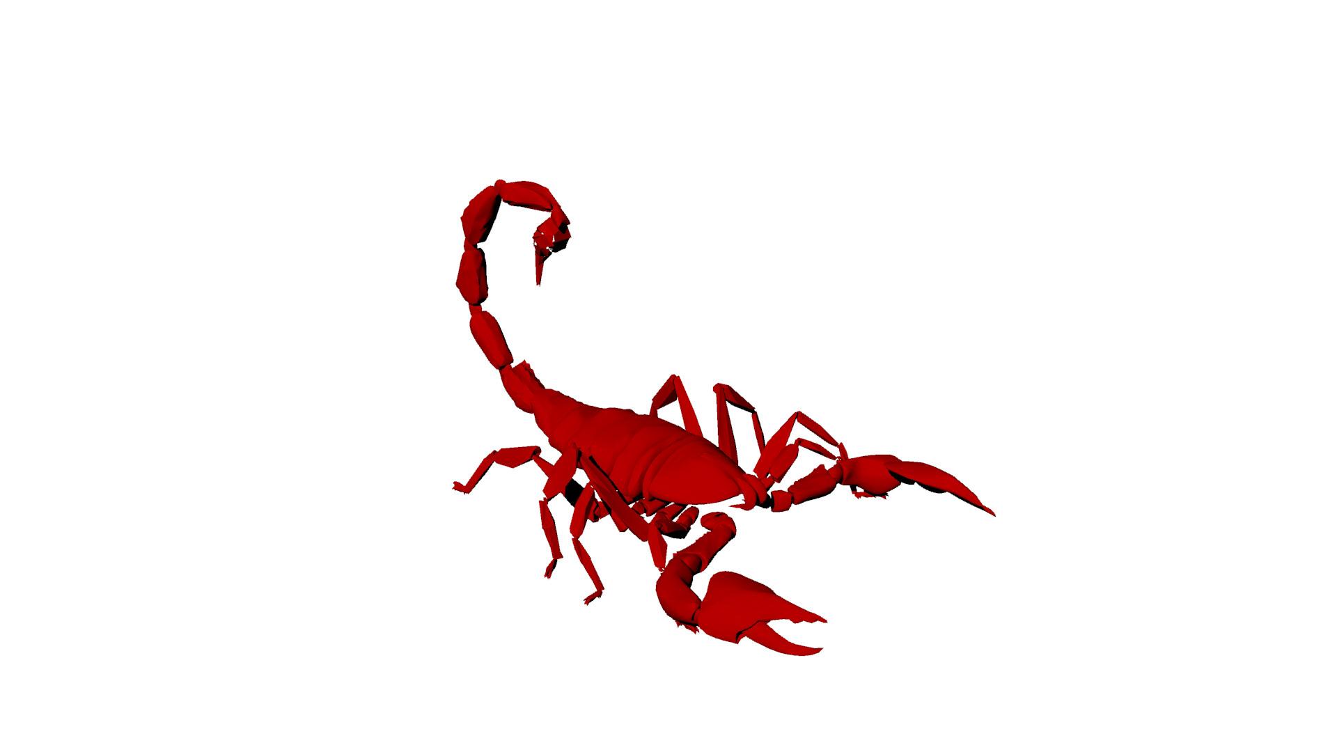 Index Of Image More..scorpion Logo