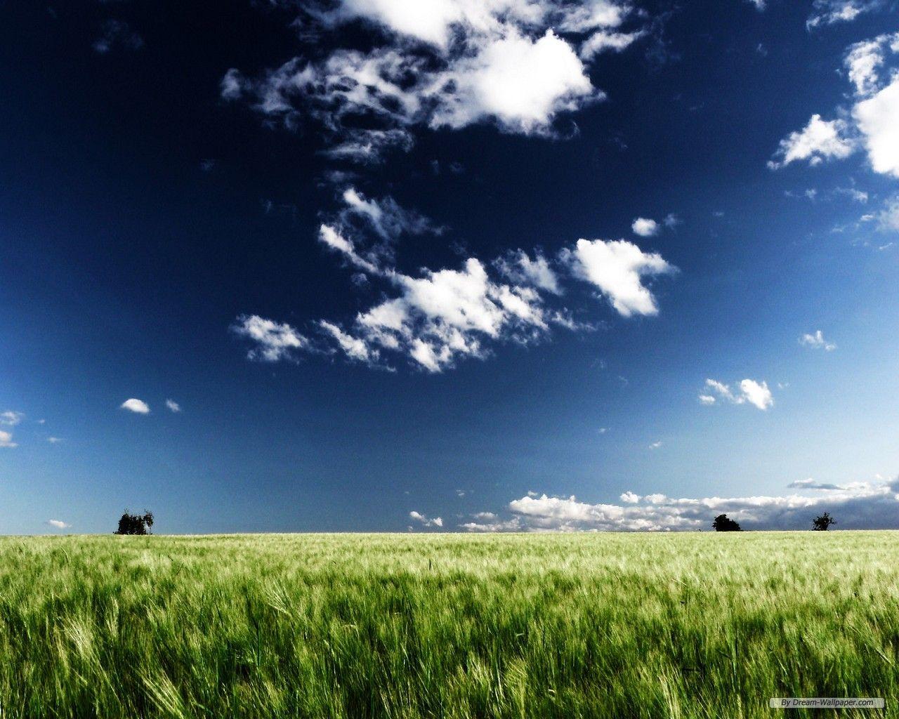 Free Wallpaper Nature wallpaper Landscape 2 wallpaper