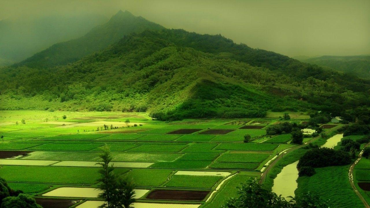 Wallpaper HD Nature On Latest Picture Download Image Of Androids