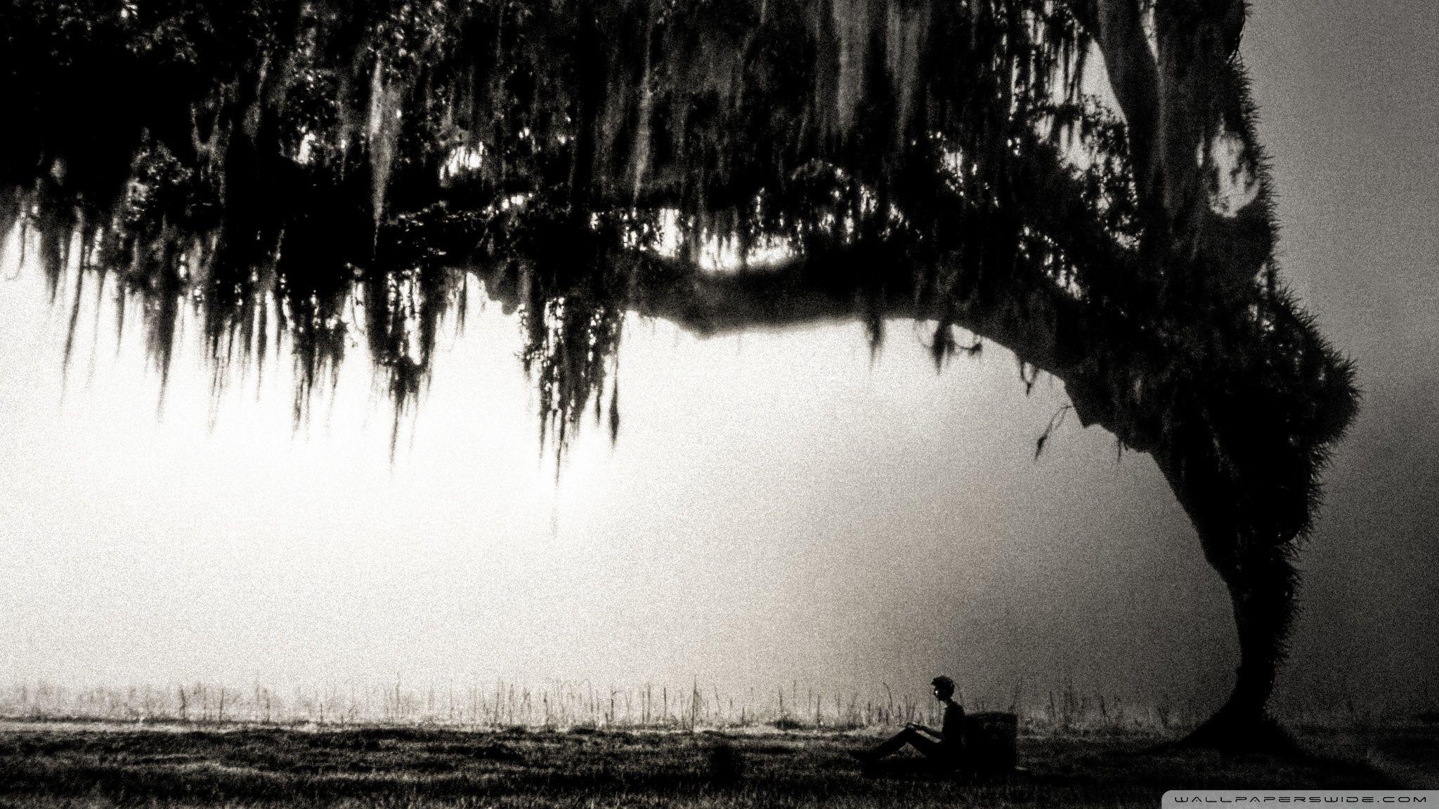 Nightmare Dream ❤ 4K HD Desktop Wallpaper for 4K Ultra HD TV • Wide