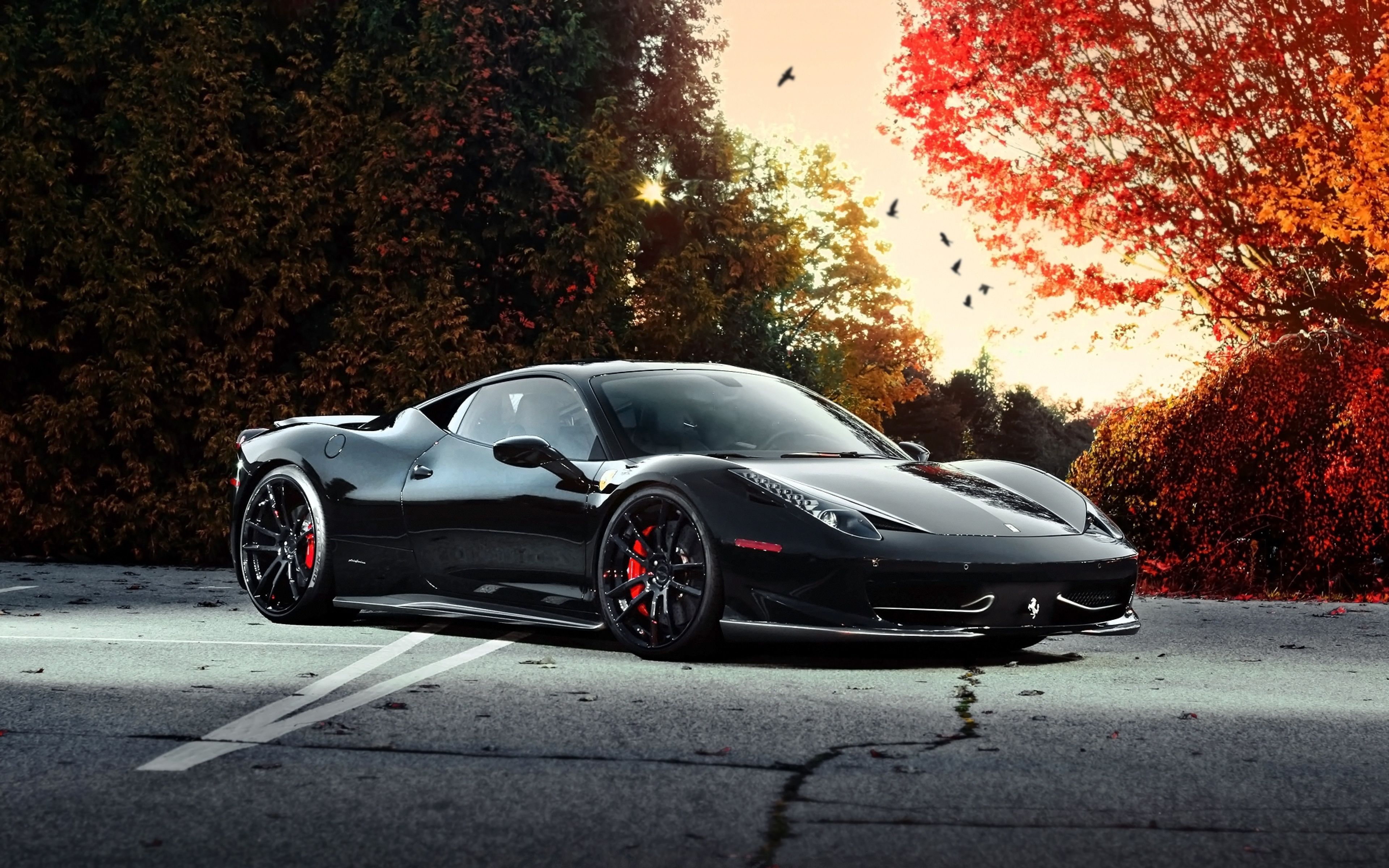 Widescreen Nature Natural Beauty Full HD All With Ferrari Cars