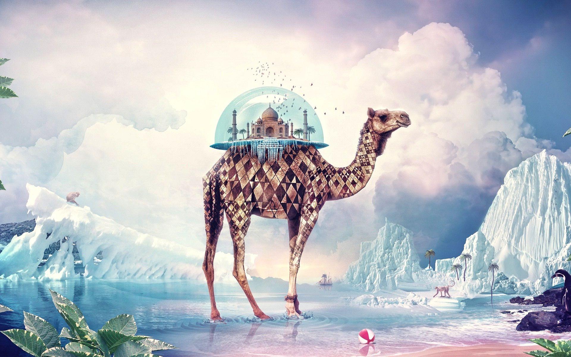 Tajmahal camel 3D world HD wallpaperNew HD wallpaper
