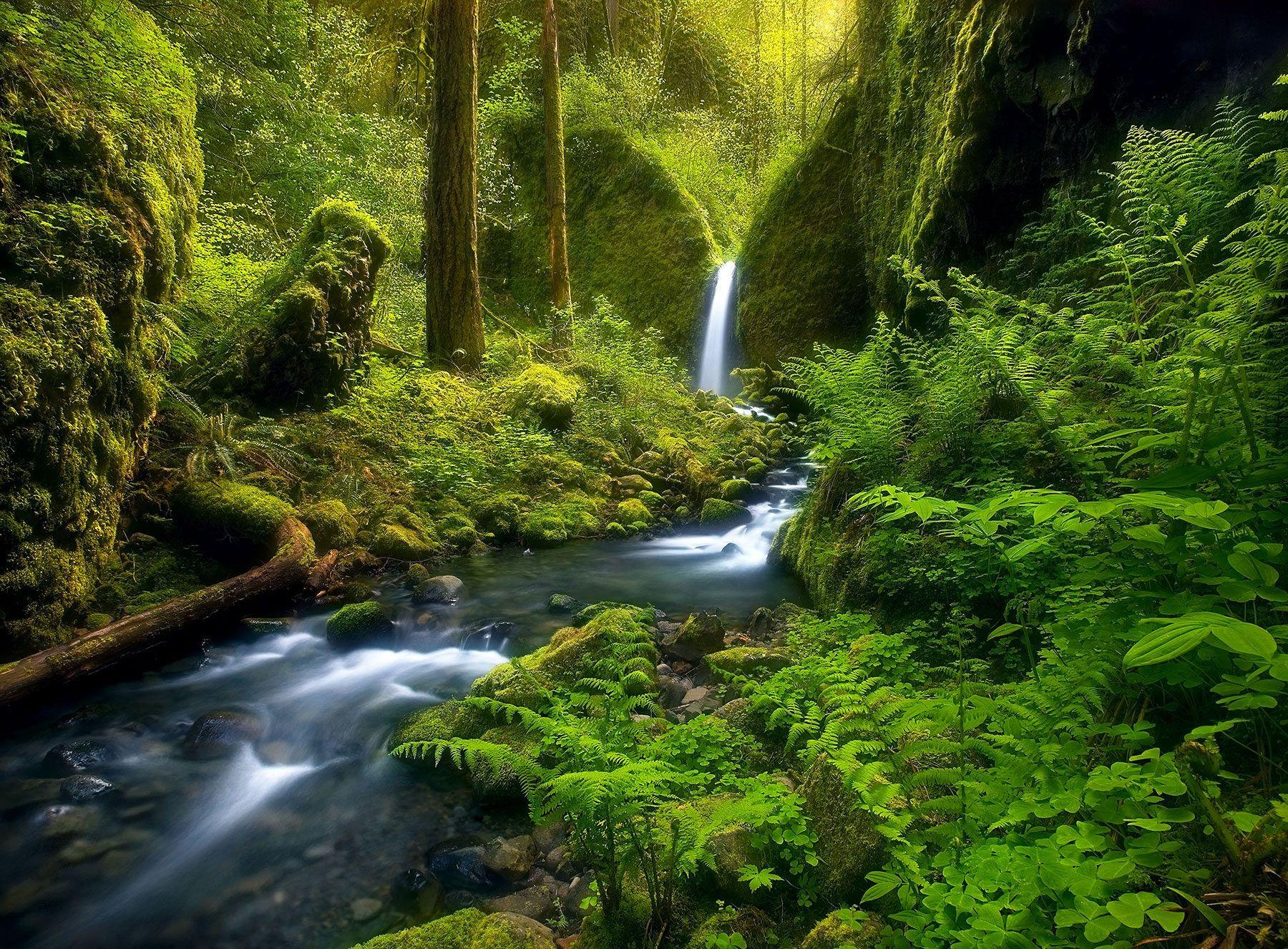 Fairyland Falls (2007). Columbia Gorge, Oregon. Marc Adamus