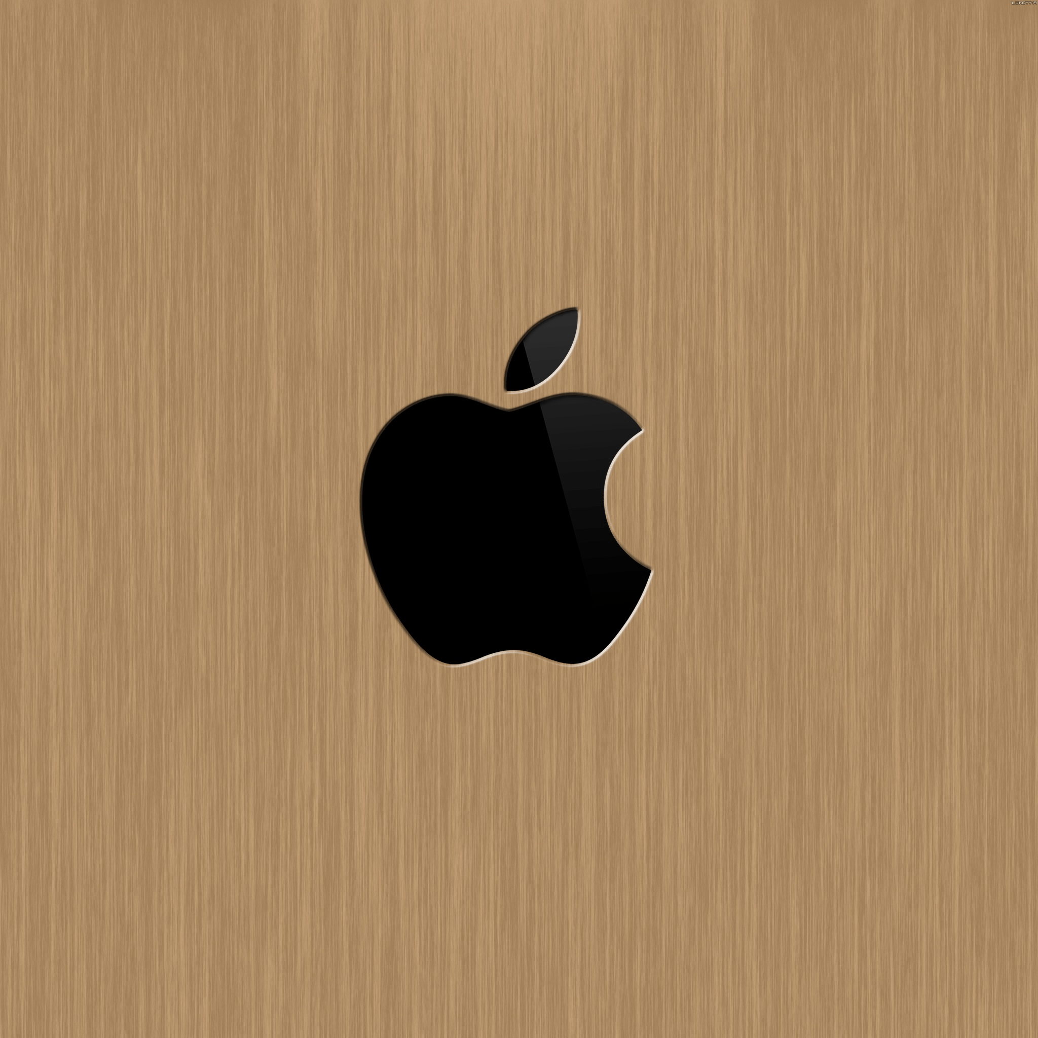 Wood Apple Logo Logo iPad 3 Wallpaper