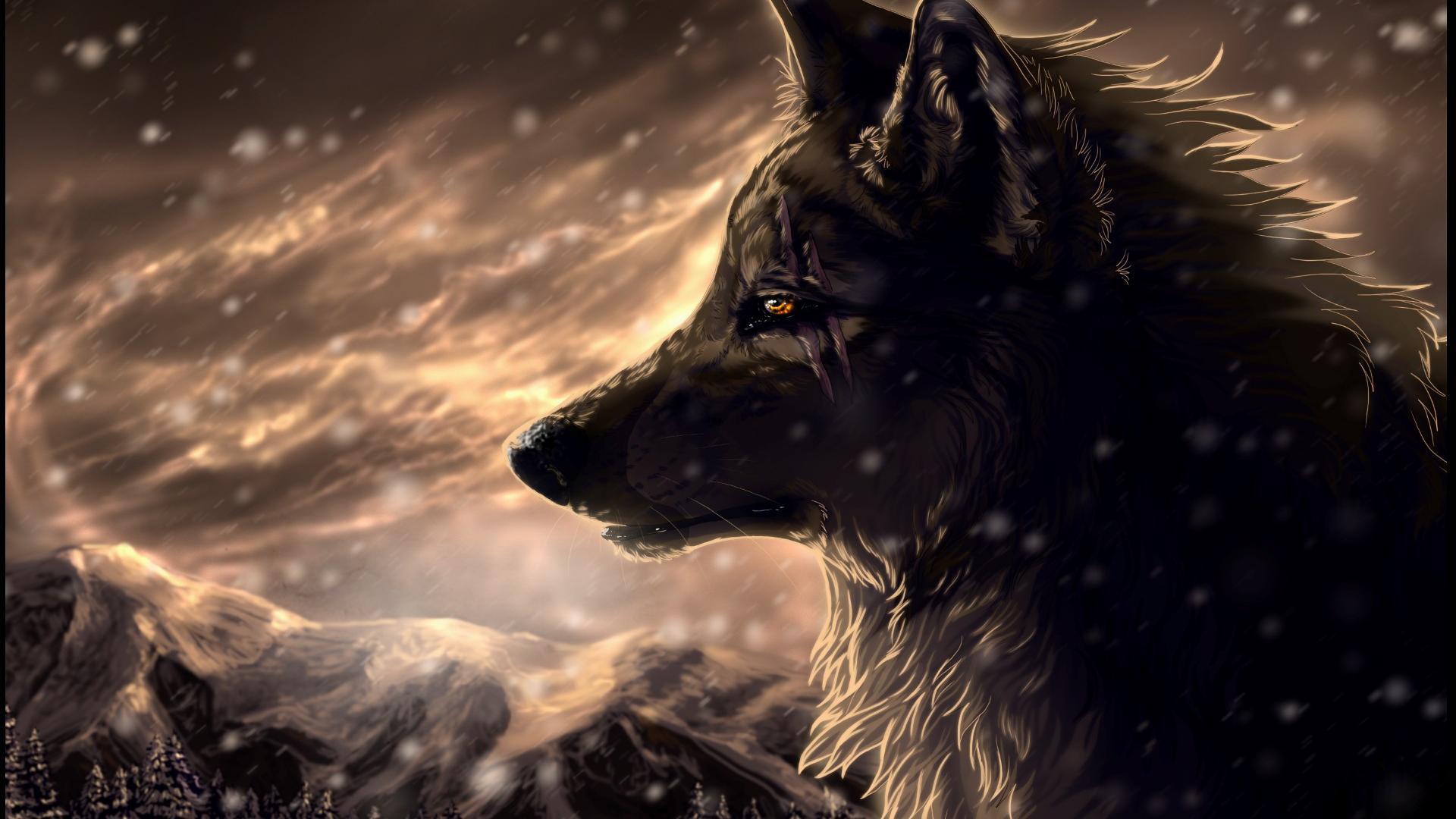 Wolf HD Wallpaper Background Wallpaper 1920x1080