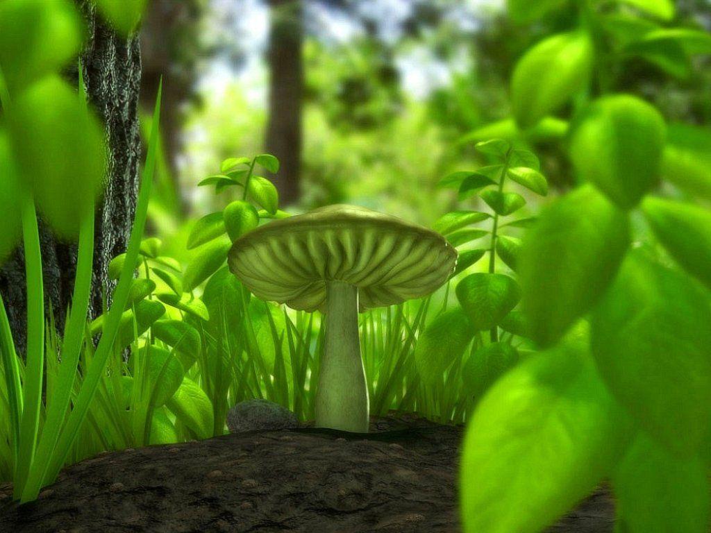 3D beautiful nature wallpaper for the desktop