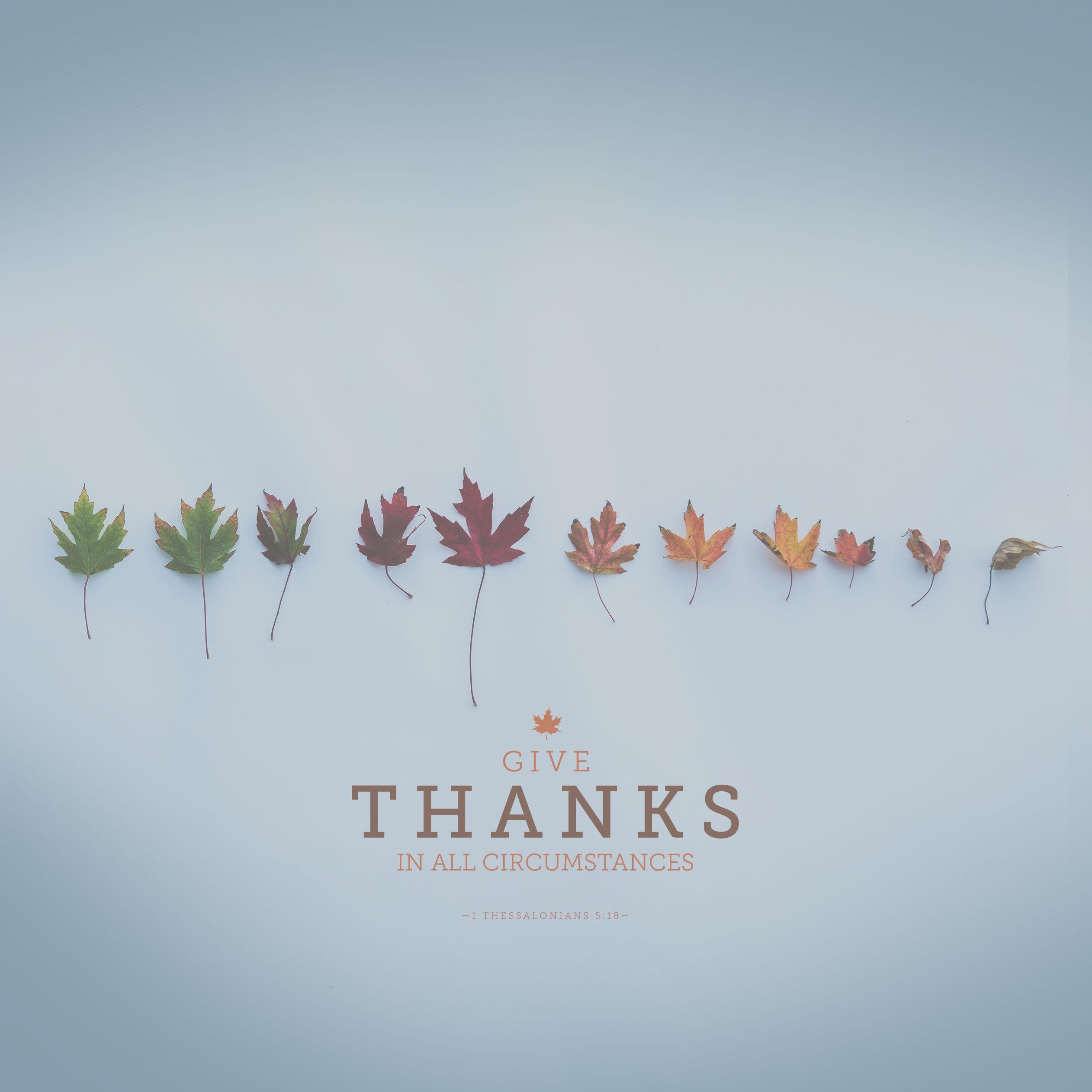 Wednesday Wallpaper: Give Thanks in All Circumstances